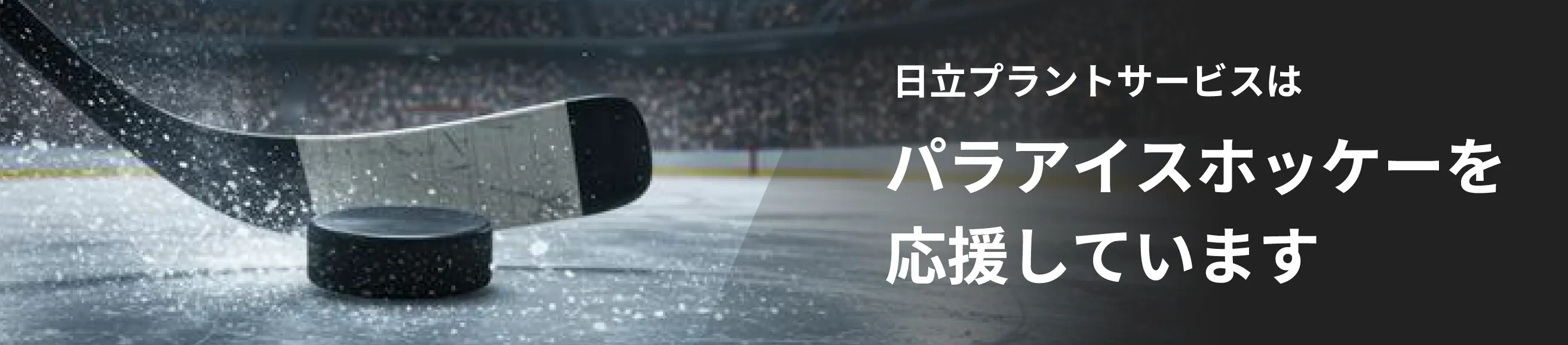 �V���{���X�|�[�c�E�p���A�C�X�z�b�P�[