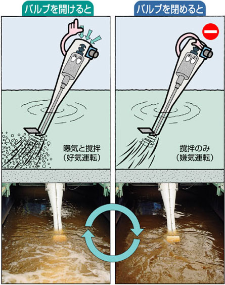 �摜�F���C�E�h�a��
